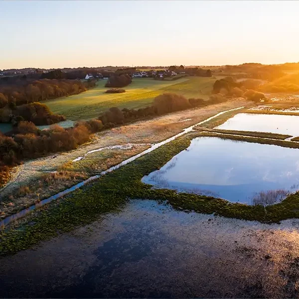 Grand Loc’h – Observatoire de Quéverne en mars 2020 (image Emmanuel Berthier)
