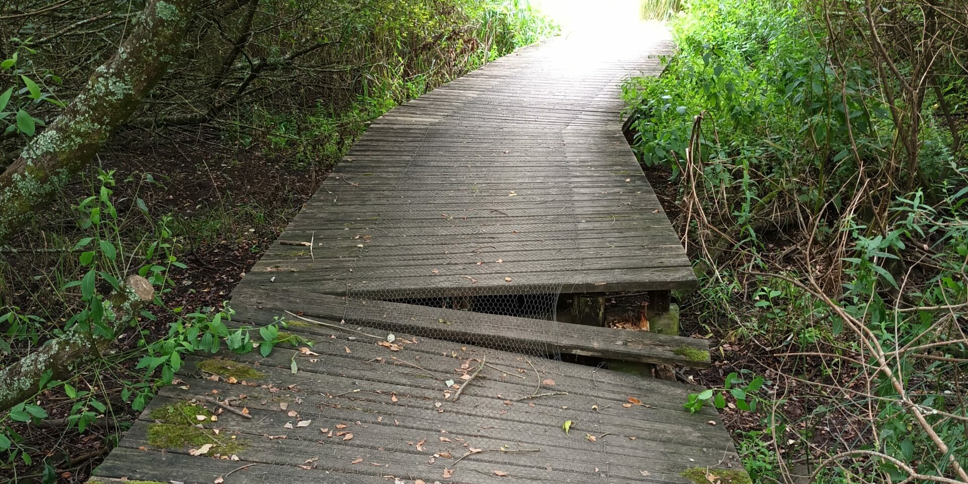 Passerelle Quéverne Cosquer