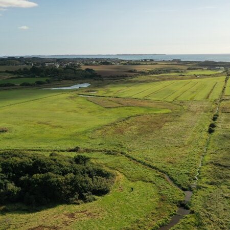 Grand Loc’h en septembre 2021     |     Frédéric Rouault