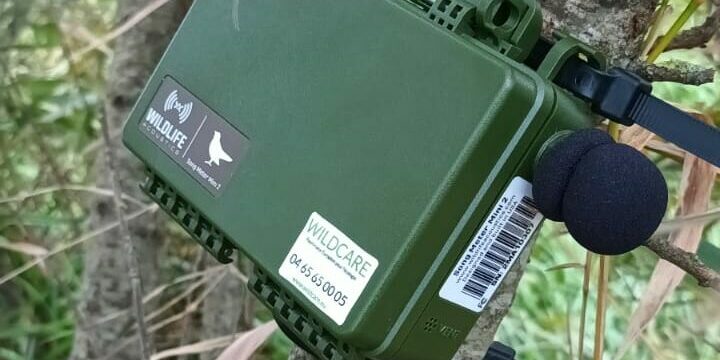 Enregistreur SM MINI