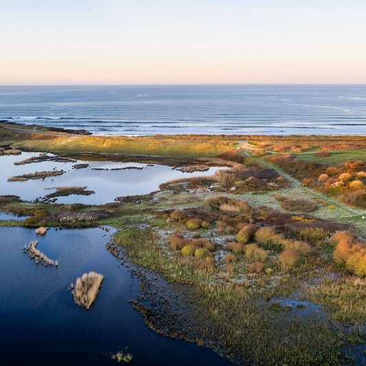 Petit Loc’h en mars 2020     |     Emmanuel Berthier