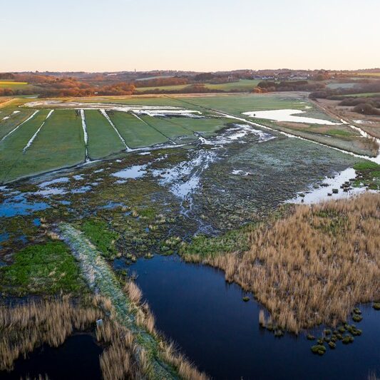 Grand Loc’h en mars 2020     |     Emmanuel Berthier