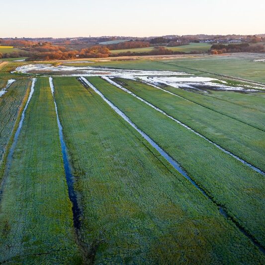 Grand Loc’h en mars 2020     |     Emmanuel Berthier