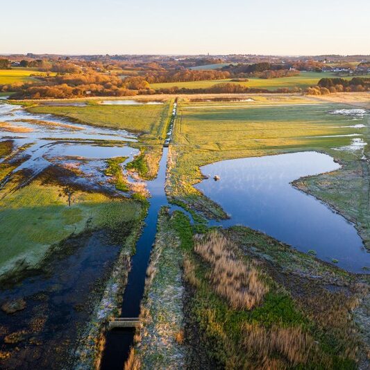 Grand Loc’h en mars 2020     |     Emmanuel Berthier