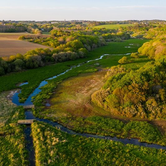 Vallée de la Saudraye en mars 2020     |     Emmanuel Berthier