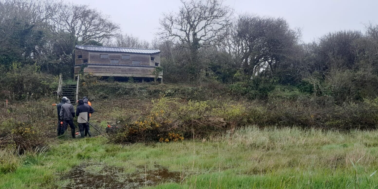 Chantier entretien visibilité observatoire