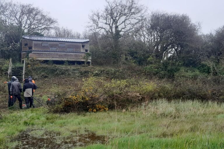 Chantier entretien visibilité observatoire