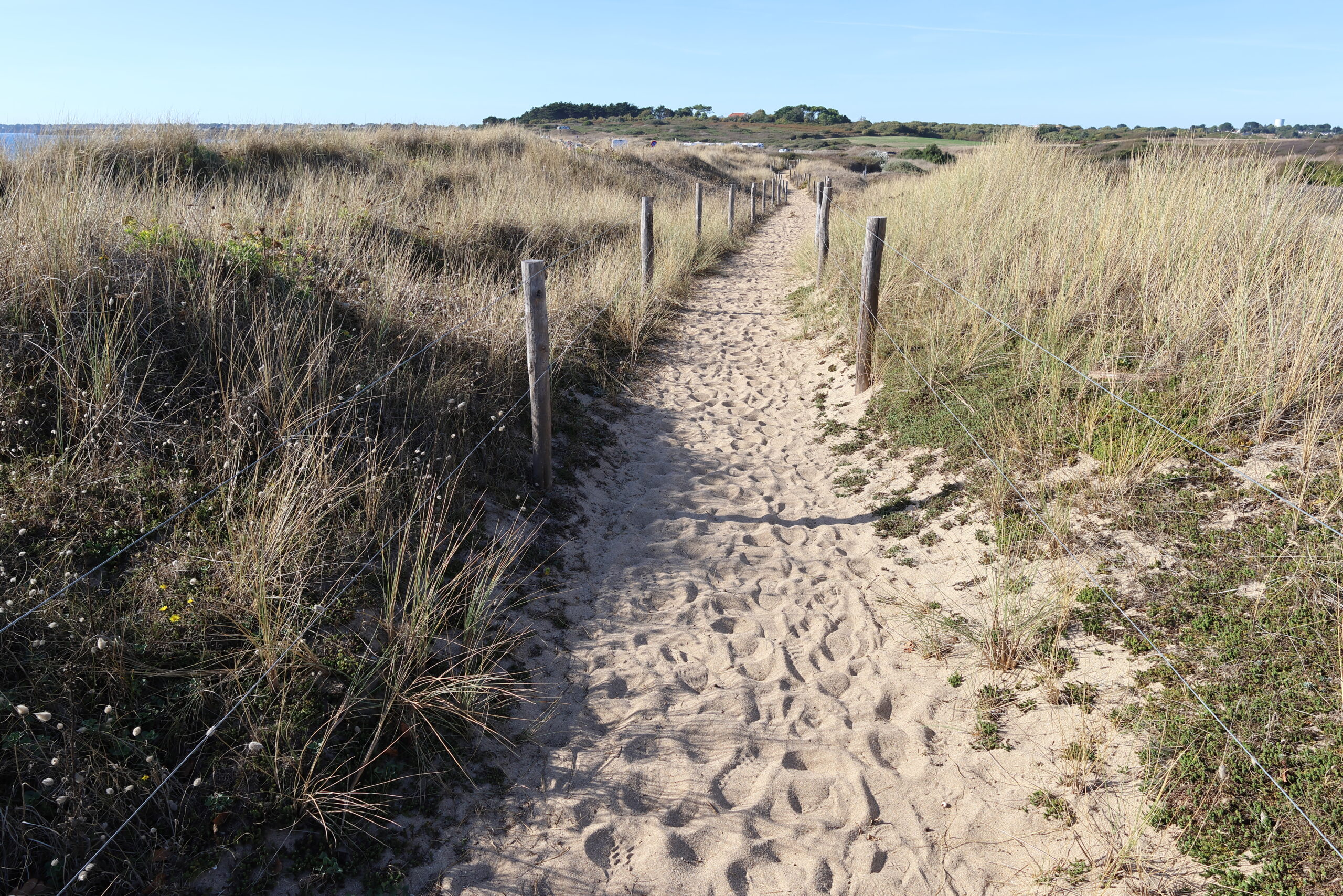 Point de vue 4 20260924