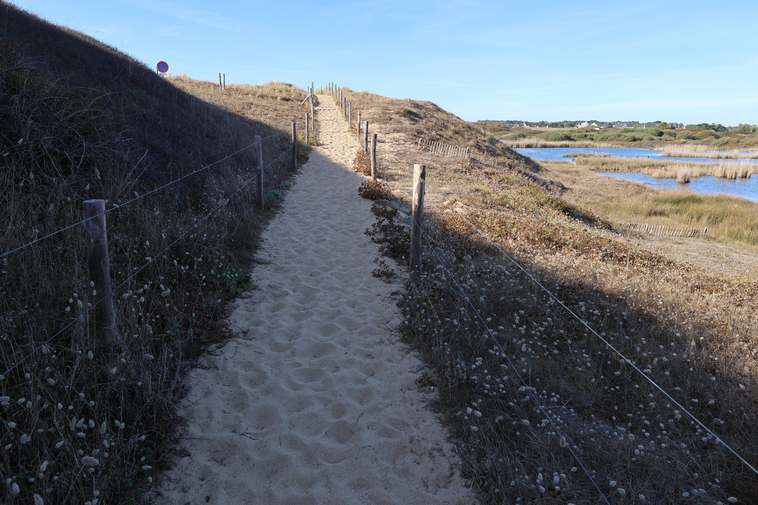 Point de vue 6 20260924