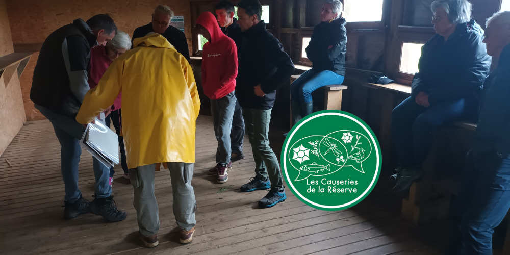 Causerie Quéverne